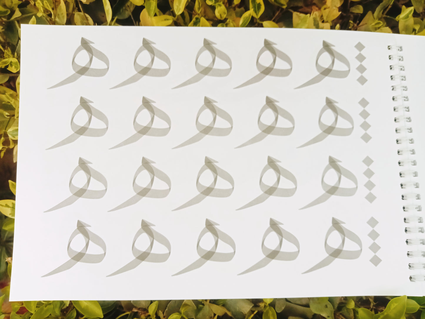 Arabic Calligraphy Workbook